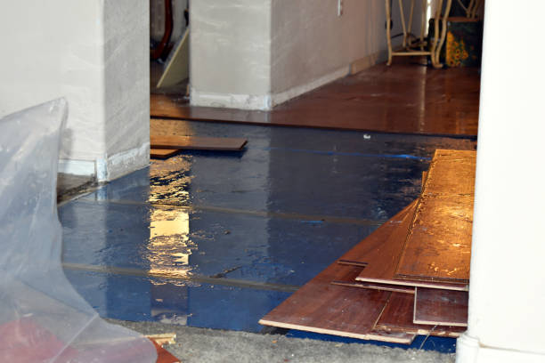 Professional Basement Flood Cleanup technician working in Ontario, WI